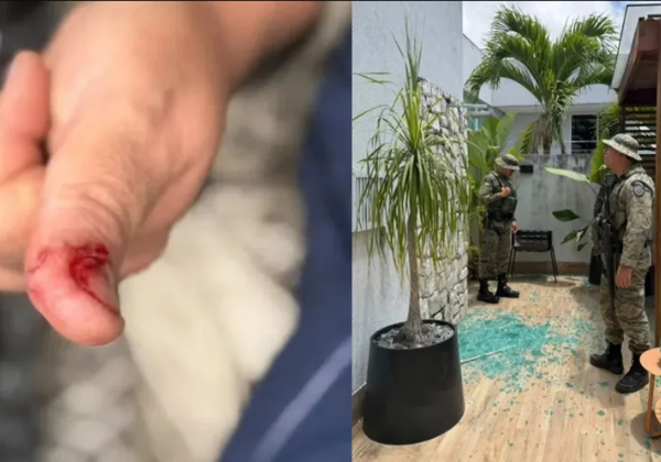 Macaco-prego de ex-deputado foge, invade casas e agride moradores em condomínio de Salvador