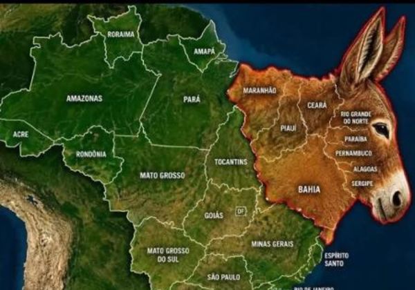 Nordeste recebeu 27 milhões de postagens ofensivas após 1º turno, aponta levantamento