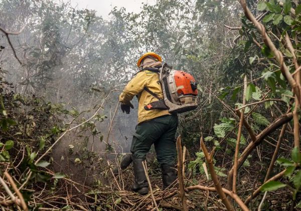 Incêndios no Amazonas resultam de ação humana intencional, diz ministro