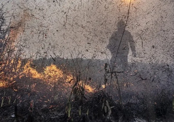 Governo do Brasil aprova R$ 45,2 milhões para ajudar o Amazonas